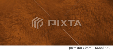 Brown fur background close up view. Banner 66881859