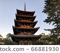 Five-storied pagoda in autumn 66881930