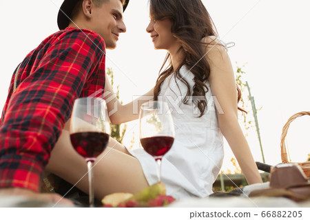 Caucasian young and happy couple enjoying a picnic in the park on summer day Caucasian young and happy couple enjoying a picnic in the park on summer day 66882205