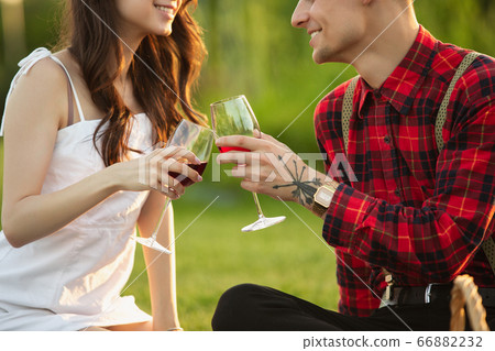Caucasian young and happy couple enjoying a picnic in the park on summer day Caucasian young and happy couple enjoying a picnic in the park on summer day 66882232