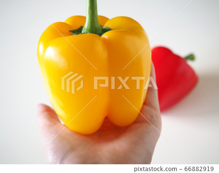 紅色和黃色的新鮮辣椒粉 紅色和黃色的新鮮辣椒粉 66882919