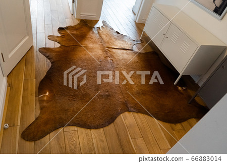 A cow skin carpet in industrial-styled corridor as 66883014