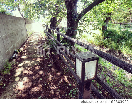 Scenery of the town with folds, fences and street lights in the summer sunbeams 66883051