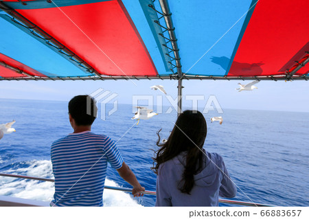 從北海道夏季的積丹半島的新積丹看到的海鷗 66883657