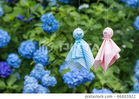 Teru Teru Bozu and Hydrangea, rainy season image material Teru Teru Bozu and Hydrangea, rainy season image material 66883922