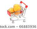 Shopping cart of apricots 66883936