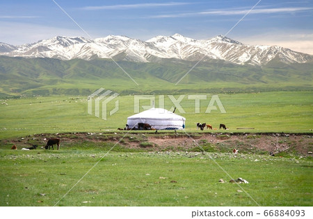 The ger camp in a large meadow at Naryn of Kyrgyzstan 66884093