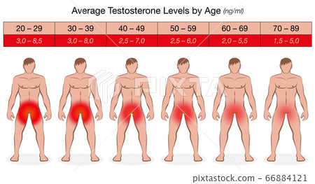 Testosterone chart with increasing age and decreasing values in ng/ml. Illustrated naked men with fading red color and libido. Vector on white. 66884121