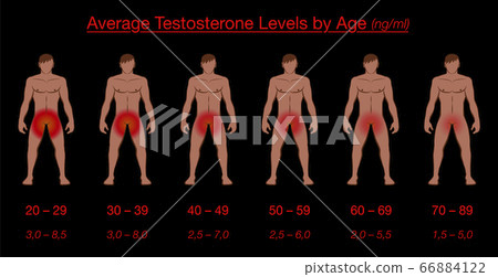 Testosterone levels by age and average values in ng/ml. Nude men with reddish genital regions, showing the gradually slowly loss of libido. Vector illustration on black background. Testosterone levels by age and average values in ng/ml. Nude men with reddish genital regions, showing the gradually slowly loss of libido. Vector illustration on black background. 66884122
