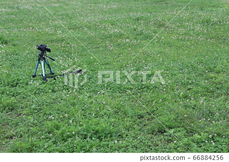 Let's take the sky with a camera Let's take the sky with a camera 66884256