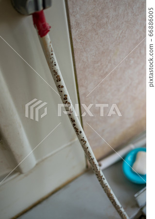 花灑軟管模具 花灑軟管模具 66886005