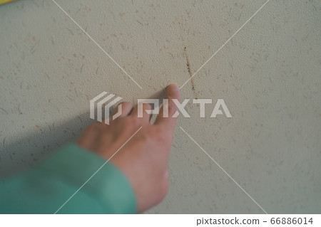 牆紙污漬 牆紙污漬 66886014