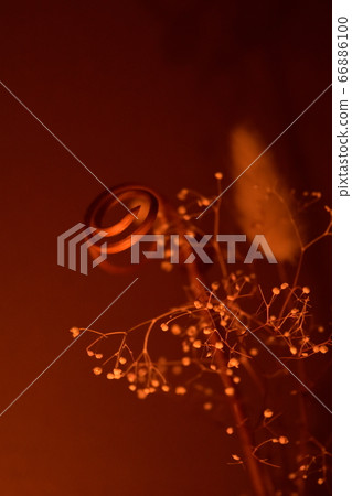 Candle light diffuser stick 66886100