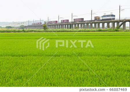 鹿島線的貨運列車 鹿島線的貨運列車 66887469