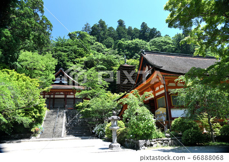 坦贊神社，從凱馬里花園到貢登，再到朱美塔，這是神社的聖地 66888068