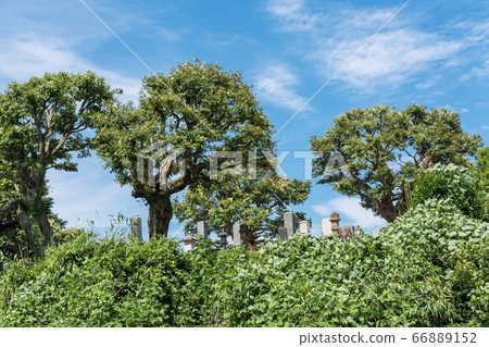 A graveyard at the summit of a countryside, in the original scenery of Japan, in memory of the ancestors 66889152