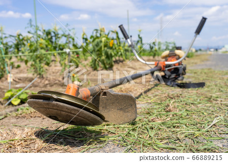 農場工作割草工作圖像割草機 農場工作割草工作圖像割草機 66889215