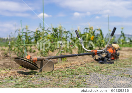 農場工作割草工作圖像割草機 農場工作割草工作圖像割草機 66889216