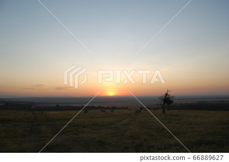 非洲大草原 66889627