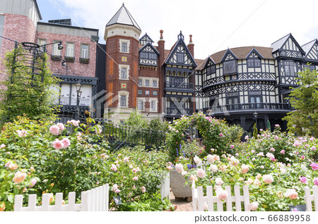 初夏白戀人公園 初夏白戀人公園 66889958