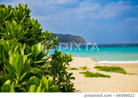 濱村崎，翡翠綠海和藍天 66890022