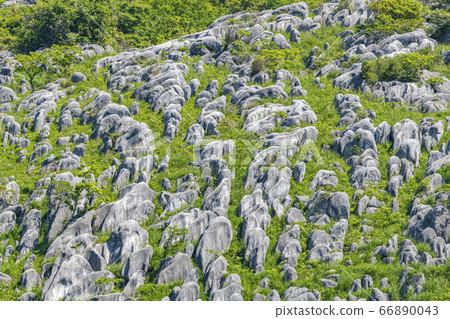 Hiraodai, Kitakyushu City, Fukuoka Prefecture Fresh green land and Karenfeld (limestone pillar) Hiraodai, Kitakyushu City, Fukuoka Prefecture Fresh green land and Karenfeld (limestone pillar) 66890043