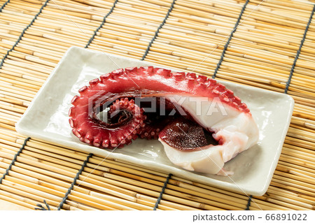 Octopus Background, blinds. 66891022