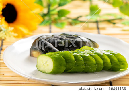 醃製的黃瓜和醃製的水。在背景窗簾的日本夏天圖像。 66891188