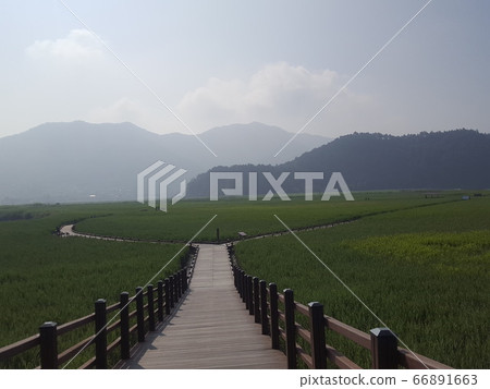 Travel Travel 66891663