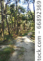 Path 66892369