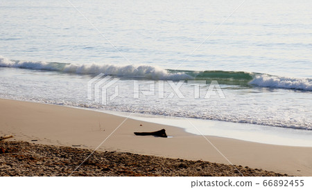 Minamiizu Shirahama Ohama Beach 66892455