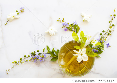 herbal healthy drinks cold chrysanthemum tea local flora of asia with flower jasmine ,purple in summer herbal healthy drinks cold chrysanthemum tea local flora of asia with flower jasmine ,purple in summer 66893347
