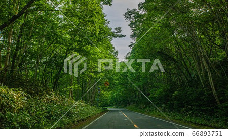 Scenery of Shiretoko 66893751