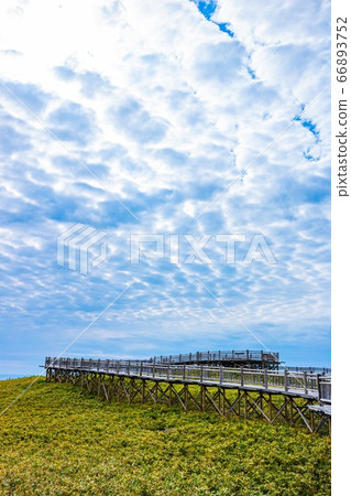 Elevated tree road of Shiretoko-gun Lake 66893752