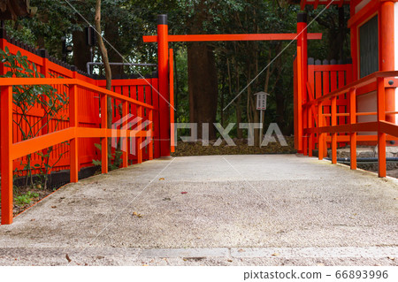 Torii of a horror shrine 66893996