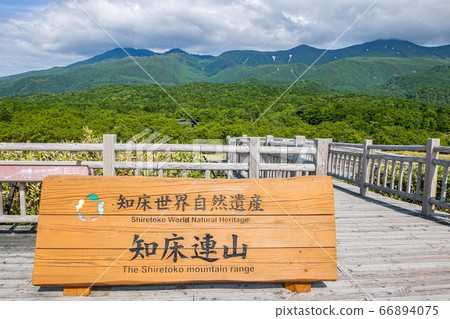 知床戈科 知床戈科 66894075