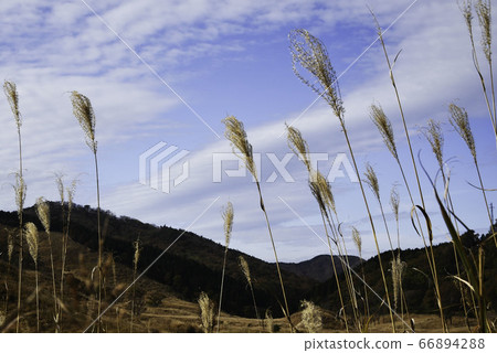 Toho Kogen “Late Autumn Skirt” 2/2 Toho Kogen “Late Autumn Skirt” 2/2 66894288