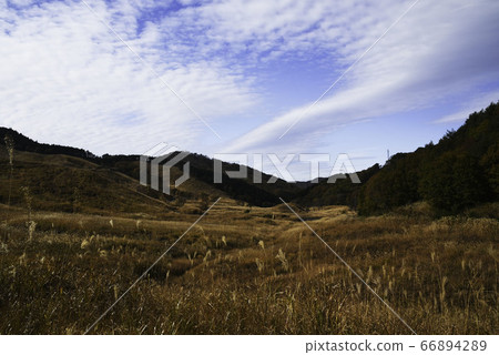 Toho Kogen "Late Autumn Skirt" 1/2 Toho Kogen "Late Autumn Skirt" 1/2 66894289