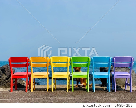 椅子和小狗 66894293