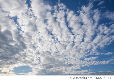 Beautiful clouds beautiful sky sheep clouds 66894945