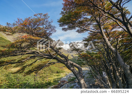 Martial Glacier Trekking Course Martial Glacier Trekking Course 66895224