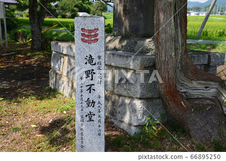 我去了T野Fudodo＃44 66895250