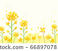 花水彩風格 66897078