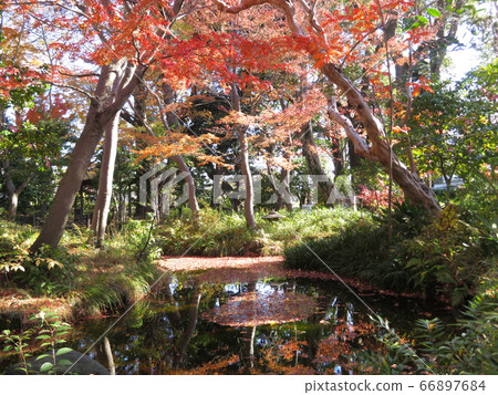 東京大田區蘇豪公園 東京大田區蘇豪公園 66897684