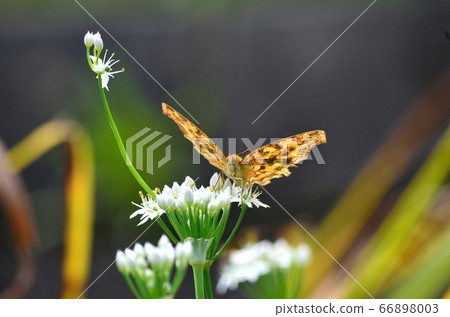 Kitateha 140912pm 12:08 66898003