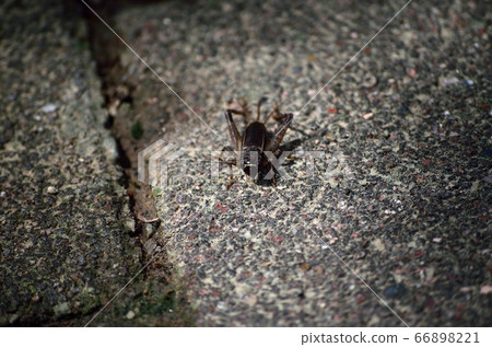 板球140907am 10:48 66898221