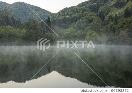 Mist and reflection in Seoryangji Pond Mist and reflection in Seoryangji Pond 66898272