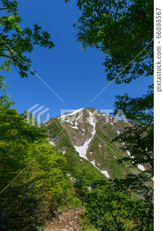 Tanigawadake seen from Tenjin-one Tanigawadake seen from Tenjin-one 66898567