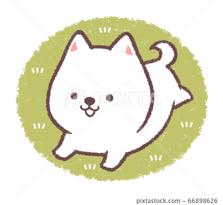 Shiro柴犬犬跑 Shiro柴犬犬跑 66898626