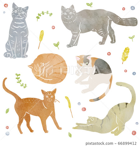貓的水彩插圖 貓的水彩插圖 66899412